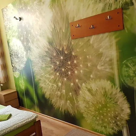 Dream Hostel&apartments Hostel *